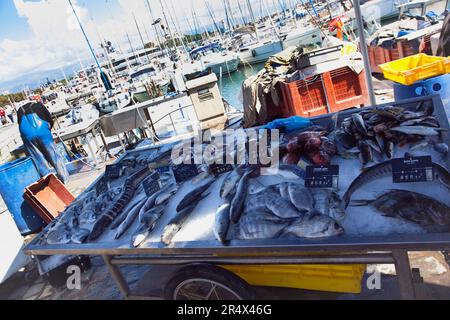 France, Provence-Alpes, Côte d'Azur, Antibes, poisson frais pêché vendu dans le port de plaisance. Banque D'Images