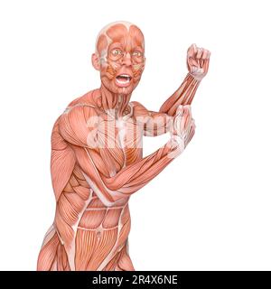 les cartes de muscle d'homme moyen danse et fait drôle de visage, 3d illustration Banque D'Images