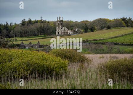 Anciennes ruines de l'église Castlefreke (église Rathbury) le long de long Strand ; Castlefreke, West Cork, Irlande Banque D'Images