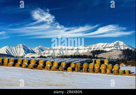 Des rangées de grandes neiges couvraient des balles de foin circulaires dans un champ couvert de neige avec une chaîne de montagnes enneigée en arrière-plan avec ciel bleu et cl... Banque D'Images