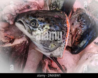 Têtes de poisson en vente sur un marché ouvert de Paris, France. Représentation rapprochée des ingrédients alimentaires Banque D'Images