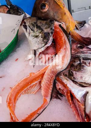 Têtes de poisson en vente sur un marché ouvert de Paris, France. Représentation rapprochée des ingrédients alimentaires Banque D'Images