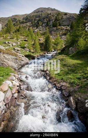 Nevache, France. 30th mai 2023. Un torrent alimenté par la fonte de la neige, la France sur 30 mai 2023. La vallée de la Nevache est une vallée transfrontalière aux caractéristiques naturelles et sauvages qui, en été, est devenue un lieu de tourisme dans les Hautes-Alpes. Photo par Thibaut Durand /ABACAPRESS.COM crédit: Abaca Press/Alay Live News Banque D'Images