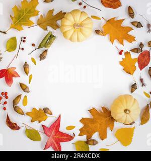 Composition de l'automne créative, cercle composé de citrouilles blanches, de feuilles mortes et d'autres éléments floraux Banque D'Images