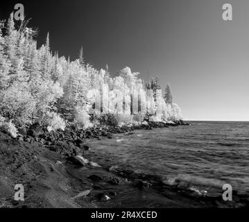 Infrarouge des arbres bordant les rives du lac supérieur ; Thunder Bay, Ontario, Canada Banque D'Images