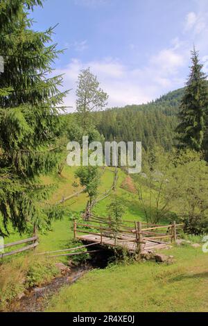 La photo a été prise en Ukraine, dans les Carpates. Sur la photo, un petit pont traversant un ruisseau sur une route de village. Banque D'Images