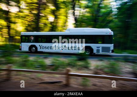 Bus touristique électrique hybride diesel dans le parc national de Yosemite dans l'Utah, États-Unis ; Utah, États-Unis d'Amérique Banque D'Images