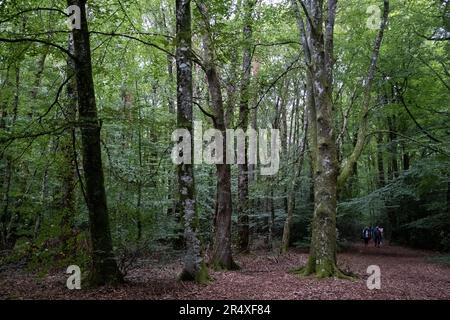 France, Bretagne, Paimpont, le 2021-09-19. Tourisme et illustration de la vie quotidienne en Bretagne. Ici, abbaye notre-Dame de Paimpont, entrée au Broc Banque D'Images