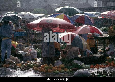 Acheteurs dans un marché en plein air dans une forte pluie ; Commonwealth de la Dominique Banque D'Images