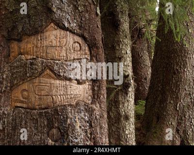 Poisson sculpté dans un tronc d'arbre par un artiste amérindien, Glacier Bay National Park, Alaska, États-Unis ; Bartlett Cove, Alaska, États-Unis d'Amérique Banque D'Images