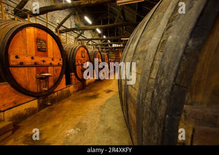 Fûts de vin dans une cave ; vallée du fleuve Douro, Portugal Banque D'Images