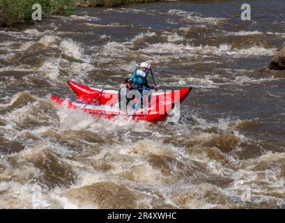 Véritable photographie d'aventure de personnes prenant sur les eaux rugueuses de la rivière Arkansas au printemps 2023 après beaucoup de pluie et de fonte de neige faite pour certains Banque D'Images