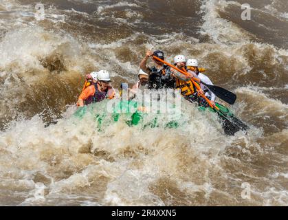 Véritable photographie d'aventure de personnes prenant sur les eaux rugueuses de la rivière Arkansas au printemps 2023 après beaucoup de pluie et de fonte de neige faite pour certains Banque D'Images