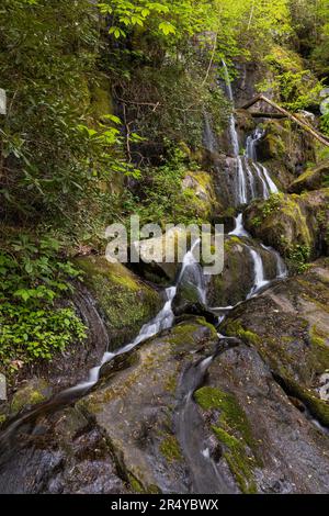 Roches couvertes de mousse à la place de la chute d'eau Thousand Drips au printemps, parc national des Great Smoky Mountains, Tennessee Banque D'Images