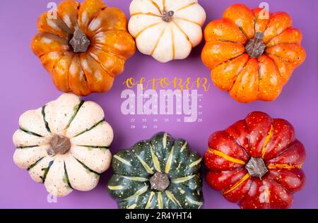 Octobre 2023 Calendrier et citrouilles sur fond de carton violet. Banque D'Images