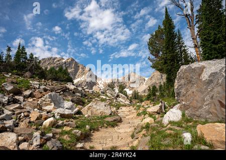 Marches en pierre se montant vers la division Paintbrush du canyon Paintbrush dans le parc national du Grand Teton Banque D'Images