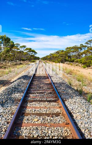 Ligne de chemin de fer droite dans l'Outback australien, entre Esperance et Norseman, Australie occidentale Banque D'Images
