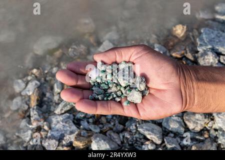 Homme montrant une pierre émeraude brute trouvée dans la rivière Banque D'Images