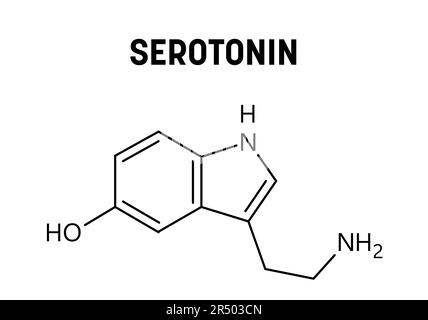 Structure moléculaire de la sérotonine. La sérotonine est un neurotransmetteur monoamine modulant l'humeur, la cognition, la récompense, l'apprentissage, la mémoire et d'autres fonctions. Formule structurale vectorielle de composé chimique. Illustration de Vecteur