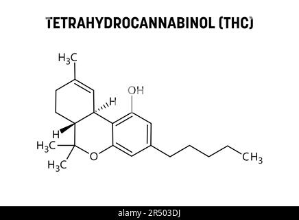 Tétrahydrocannabinol, ou THC, structure moléculaire. Le tétrahydrocannabinol est le principal médicament psychoactif du cannabis. Formule structurale vectorielle de composé chimique. Illustration de Vecteur