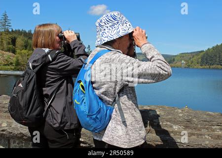 Ornithologues de sexe féminin dans la réserve Lake Vyrnwy RSPB, Powys, pays de Galles, Royaume-Uni Banque D'Images