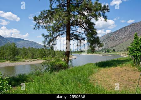 Rivière Similkameen près de Cawston, Colombie-Britannique, Canada. Dans la vallée de l'Okanagan. Banque D'Images