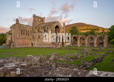 27th mai 2023 Météo, Stand Alone, Abbaye de Melrose, frontières écossaises, Écosse. Au coucher du soleil, une lumière dorée brille sur l'abbaye de Melrose, dans l'Écosse Banque D'Images