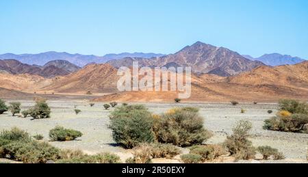 Paysage désertique avec des montagnes en arrière-plan, près d'Al Ula, Arabie Saoudite Banque D'Images