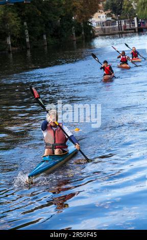 Les gens font du canoë-kayak sur la Tamise à Teddington, Londres, Angleterre, Royaume-Uni. Palettes synchronisées Banque D'Images