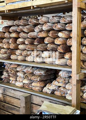 Pains à levain et pains ciabtta à vendre sur le marché agricole du Cap, en Afrique du Sud Banque D'Images