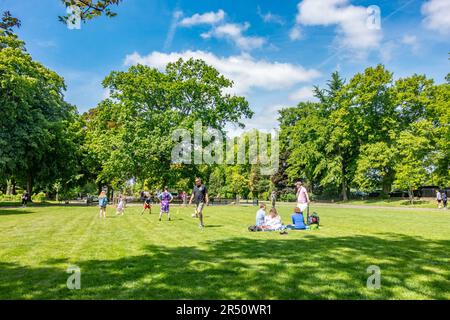 Vue sur les jardins Alexandra, parc public de Windsor, Berkshire, Royaume-Uni, avec arbres verts, herbe et ciel bleu Banque D'Images