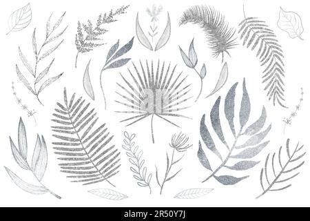 Ensemble de feuilles peintes à la main en argent étincelant, de branches de plantes, de palmiers séchés avec des sparkles argentés Banque D'Images