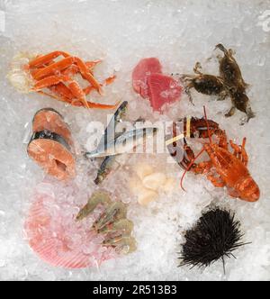 Fruits de mer frais et poisson sur glace Banque D'Images