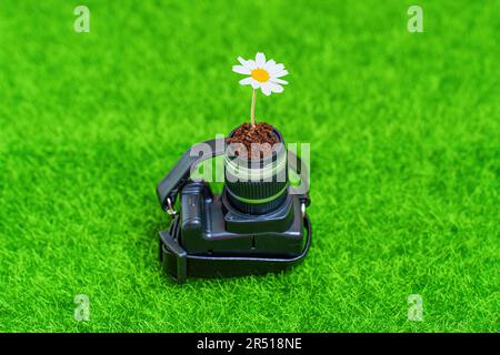 Une Marguerite vibrante émerge avec grâce de la lentille d'un appareil photo miniature, placé au milieu d'un serein prairie verte. Le concept d'un potentiel créatif et Banque D'Images