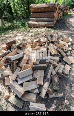 une pile de billes hachées devant une pile de billes dans la forêt Banque D'Images