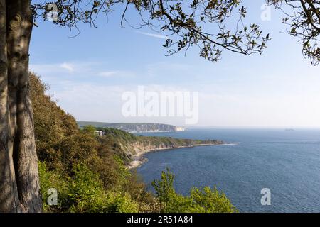 Vue sur la baie de Swanage depuis Durlston Head, Dorset, Angleterre, Royaume-Uni Banque D'Images