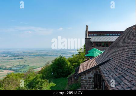 Vue des ruines de Madenburg à la plaine du Haut Rhin, Eschbach, Palatinat, Rhénanie-Palatinat, Allemagne, Europe Banque D'Images