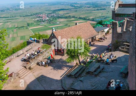 Jardin de bière dans la cour des ruines de Madenburg, Eschbach, Palatinat, Rhénanie-Palatinat, Allemagne, Europe Banque D'Images