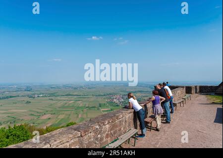 Vue des ruines de Madenburg à la plaine du Haut Rhin, Eschbach, Palatinat, Rhénanie-Palatinat, Allemagne, Europe Banque D'Images