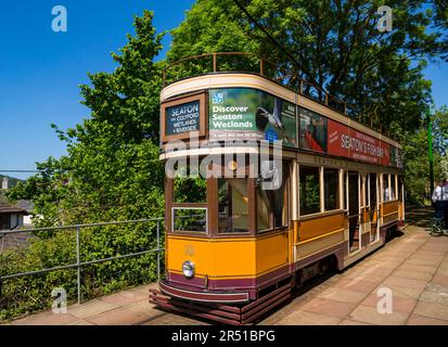 Tramway à impériale à toit ouvert numéro 10 Ten, tramway électrique Seaton, reliant Seaton et Colyton à Devon, Royaume-Uni, en mai Banque D'Images