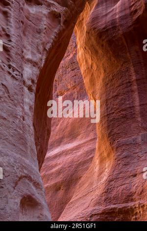 Le Siq, étroit fond rouge de la texture du mur du canyon à Petra, Jordanie, site du patrimoine mondial de l'UNESCO Banque D'Images