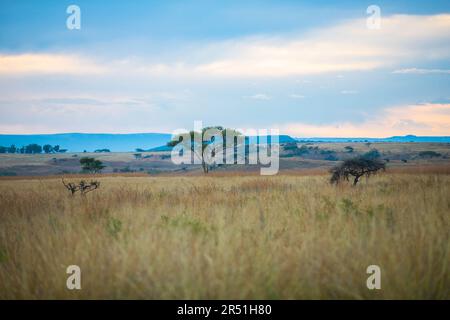 Paysage de la réserve de gibier de Nambiti, Afrique du Sud Banque D'Images