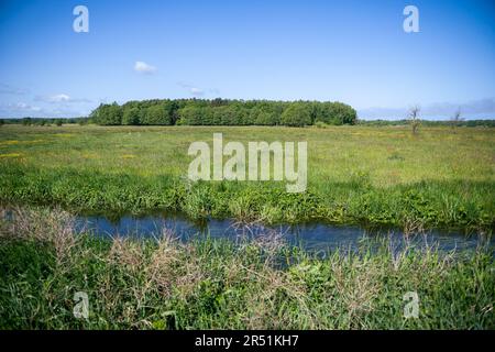 Lubiatowo, Pologne. 29th mai 2023. Vue générale de l'endroit où la construction d'une centrale nucléaire est prévue à côté du village de Slajszewo. Westinghouse Electric Company et Westinghouse Electric Pologne seront responsables de l'élaboration d'un modèle pour la construction de la première centrale nucléaire en Pologne. Crédit : SOPA Images Limited/Alamy Live News Banque D'Images