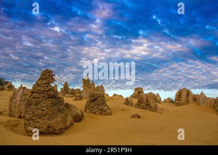 Les Pinnacles, Australie Banque D'Images