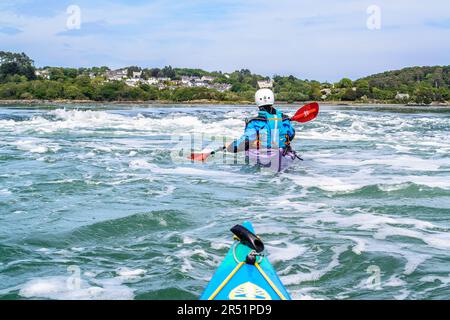 Kayak sur le détroit de Menai, pays de Galles, Royaume-Uni Banque D'Images