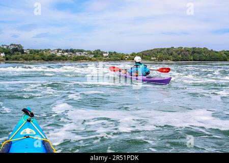 Kayak sur le détroit de Menai, pays de Galles, Royaume-Uni Banque D'Images