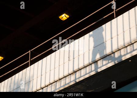 USA, Illinois, Chicago, réflexions de coureurs et de cyclistes à travers le pont de Lake Shore Drive. Banque D'Images