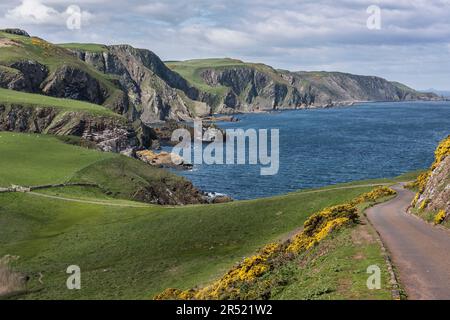 Route d'accès ensoleillée à St Abbs Head, Écosse avec mer bleue et falaises côtières ensoleillées en arrière-plan sous un ciel nuageux et lumineux. Banque D'Images