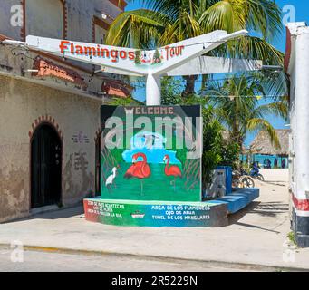 La publicité de visite de Flamingo à la petite colonie côtière sur le golfe du Mexique, Celestun, Yucatan, Mexique Banque D'Images