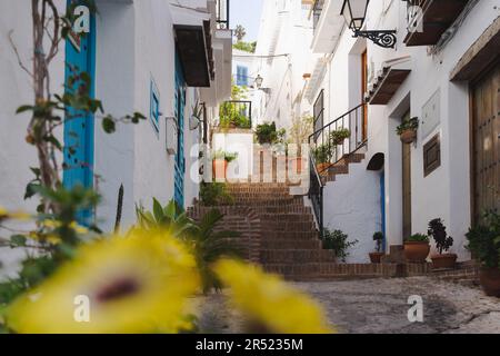 D'en-dessous de beaux bâtiments résidentiels blancs avec balcons avec des marches pavées et des rampes avec des fleurs jaunes et des plantes en pot placé sur la rue Banque D'Images